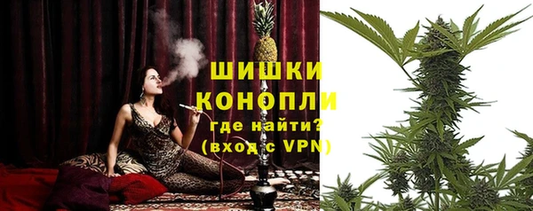 гашик Аркадак