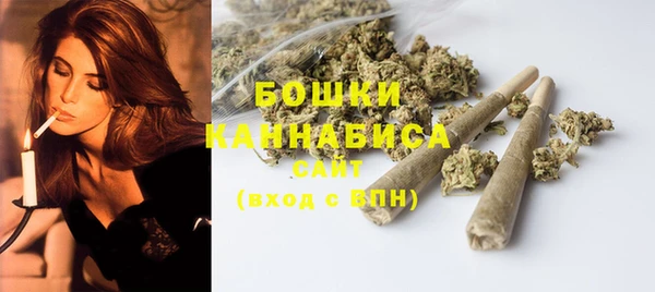 прущие грибы Сатка