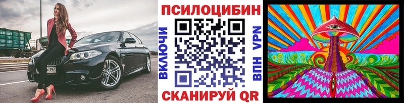 дарнет шоп  Тогучин  Галлюциногенные грибы мицелий 